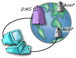  DNS